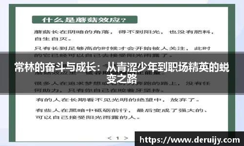 3377体育平台